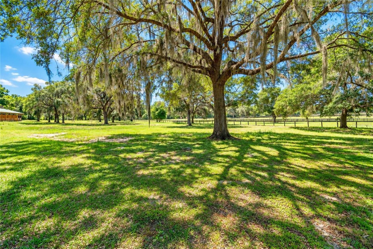 12100 NW 110th Avenue, Reddick, FL 32686 Photo