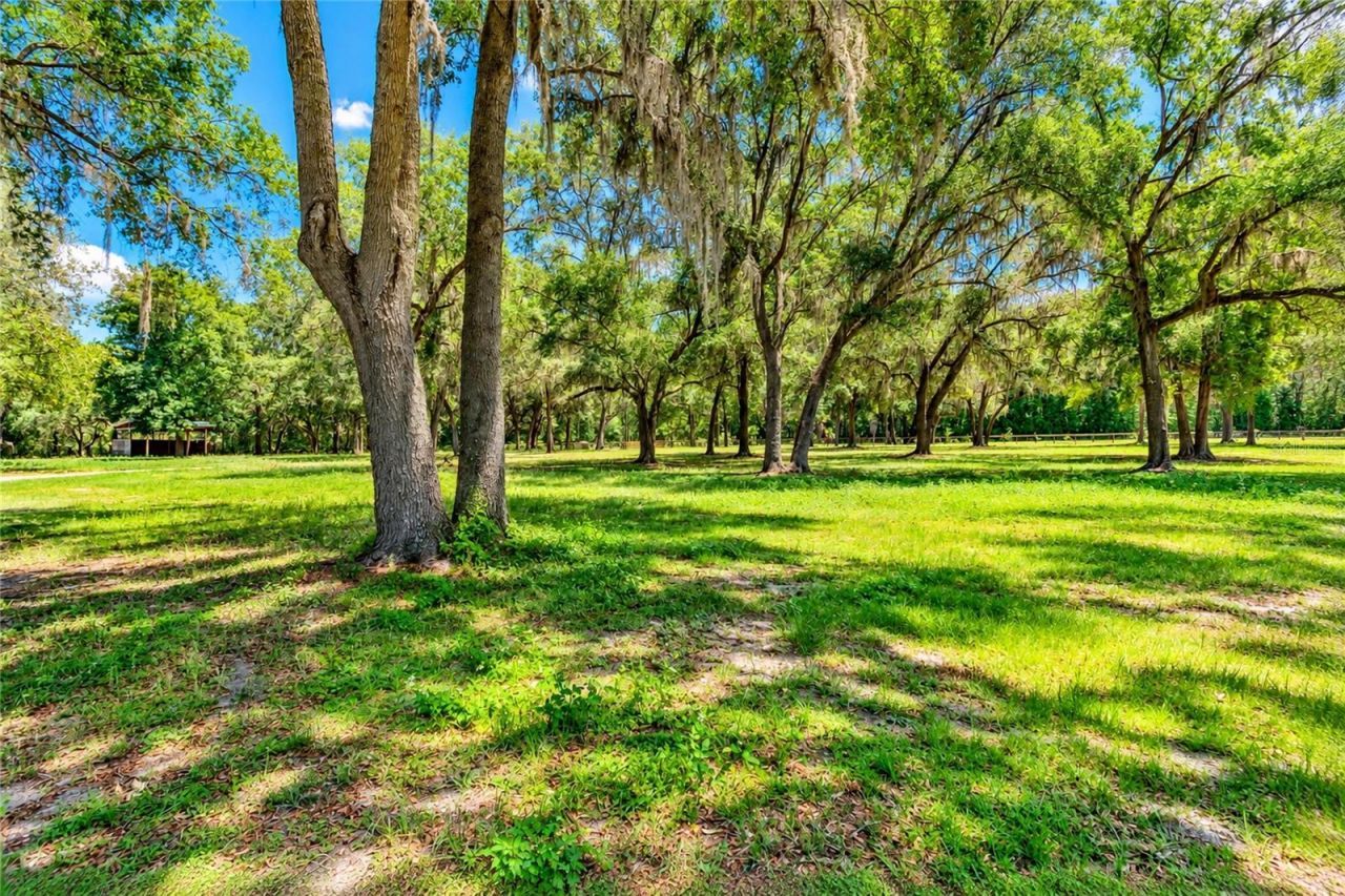 12100 NW 110th Avenue, Reddick, FL 32686 Photo