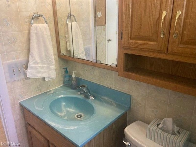 3902 Niles Carver, Mineral Ridge, OH 44440 Photo 21