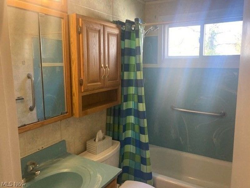 3902 Niles Carver, Mineral Ridge, OH 44440 Photo 22