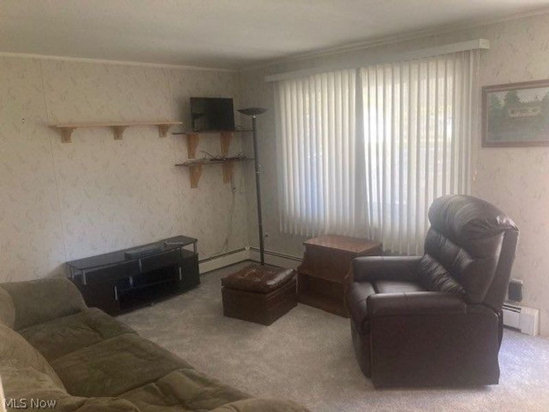 3902 Niles Carver, Mineral Ridge, OH 44440 Photo 5