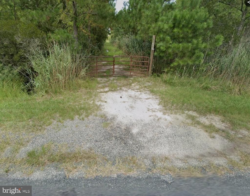 30224 MARUMSCO ROAD , MARION STATION, MD 21838