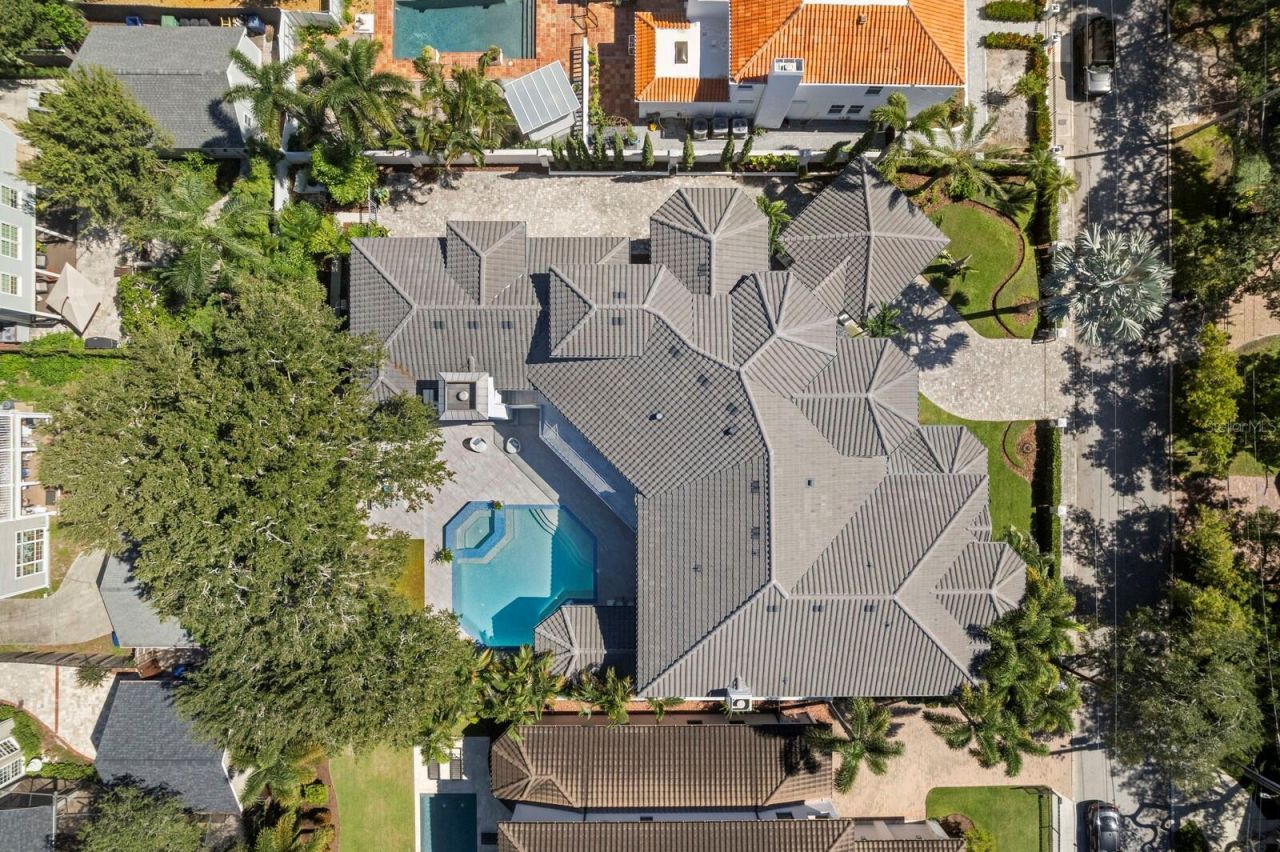 2913 W Knights Avenue, Tampa, FL 33611 Photo