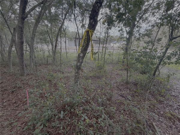 EL PASO AVENUE , ORANGE CITY, FL 32763