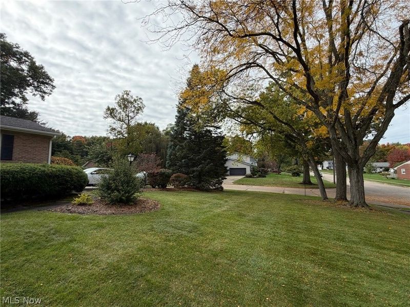1040 W Milton Street, Alliance, OH 44601 Photo 4