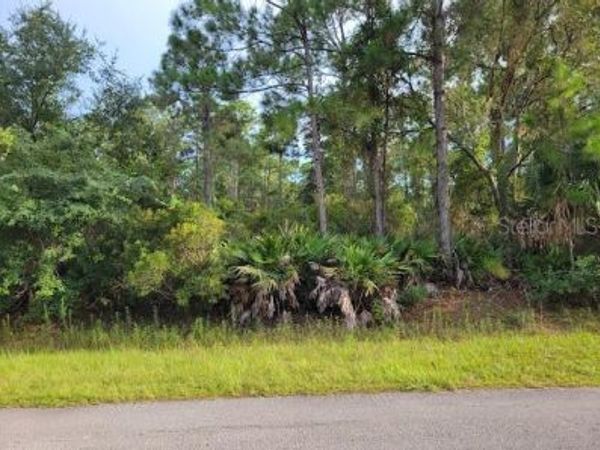 101 MIMOSA STREET , GEORGETOWN, FL 32139