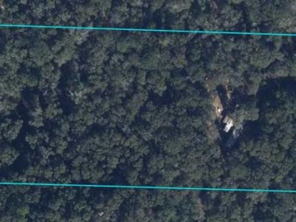4560 Moss Hill Road, Chipley, FL 32428