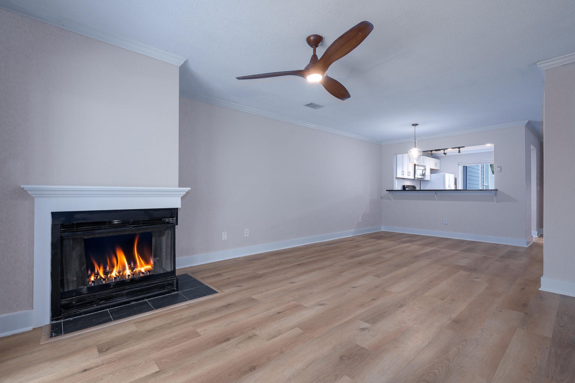 857 Liriope Lane Photo 7