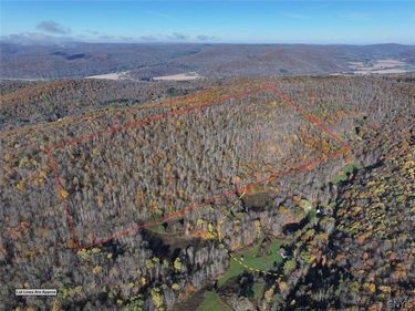 Flint Hollow Road , Great Valley, NY 14741