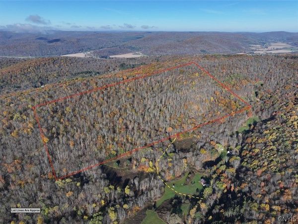 Flint Hollow Road, Great Valley, NY 14741