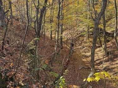 V/L B Geise Road, Darien Center, NY 14080