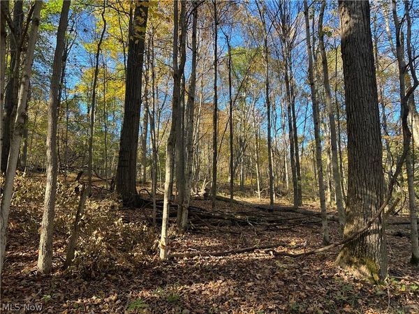 41272 Township Road 78 , Coshocton, OH 43812