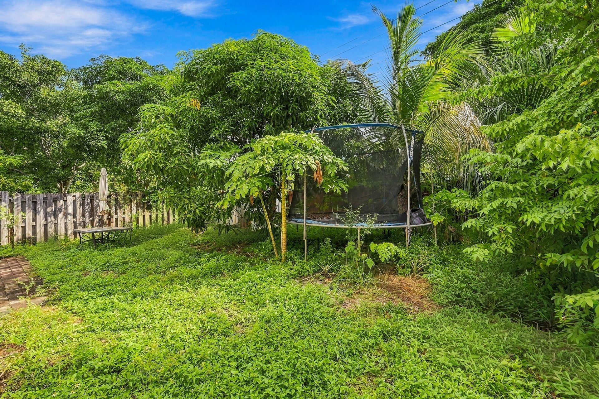 4972 NE 14th Avenue, Pompano Beach, FL 33064 Photo