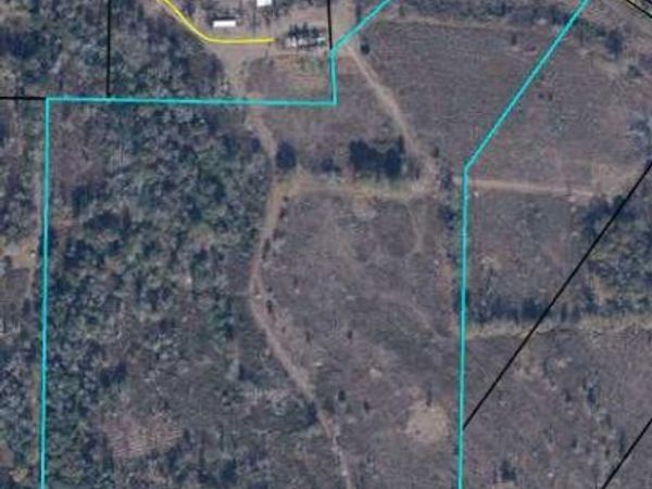 3532 Bush Road , Graceville, FL 32440