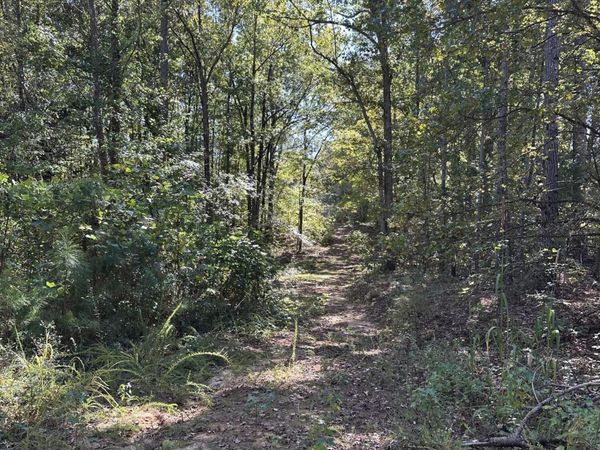 Co Rd 312, Tiplersville, MS 38674