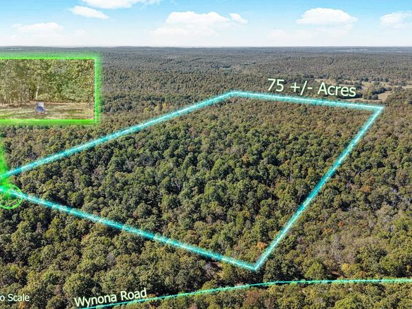 Tuska Drive , Cherokee Village, AR 72529