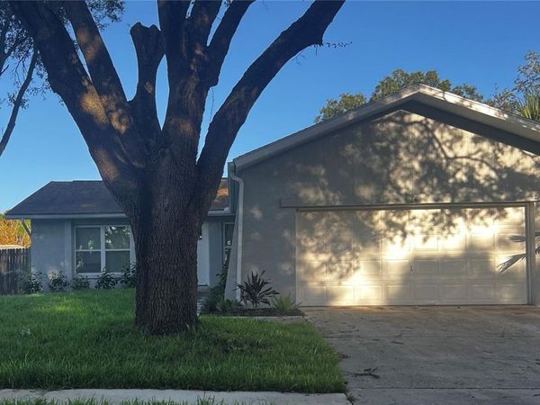768 16TH STREET , PALM HARBOR, FL 34683