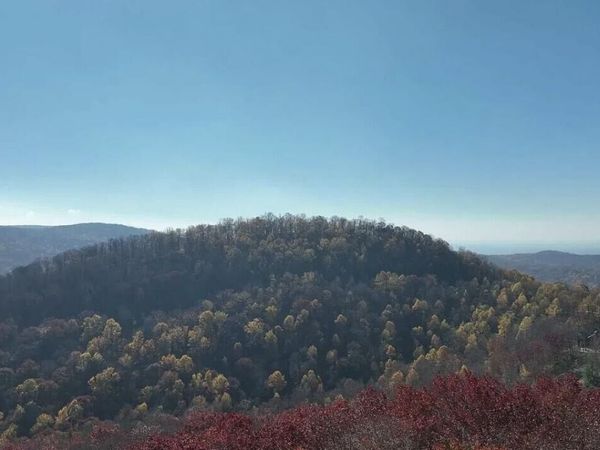 0 Andes Ridge, Ellijay, GA 30143