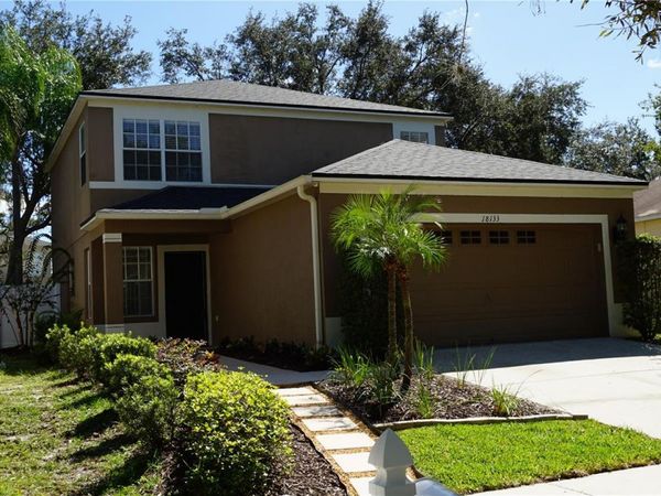 18133 BIRDWATER DRIVE, TAMPA, FL 33647