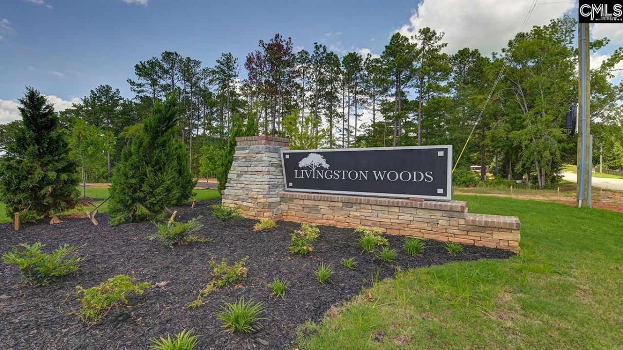 153 Livingston Woods Drive  Photo 34