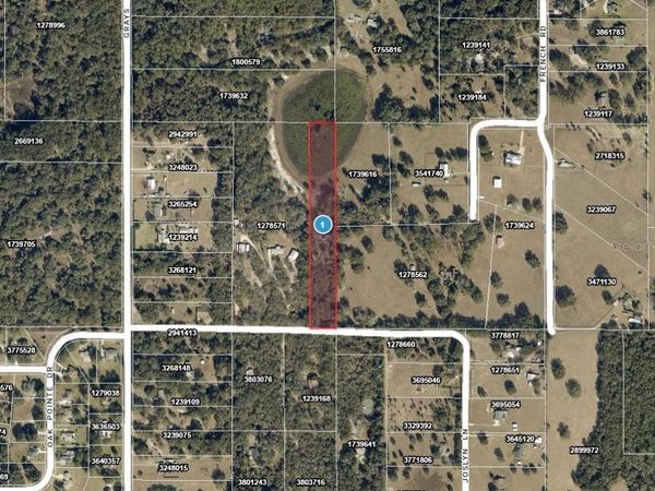 4219 JOSLYN LANE , LADY LAKE, FL 32159