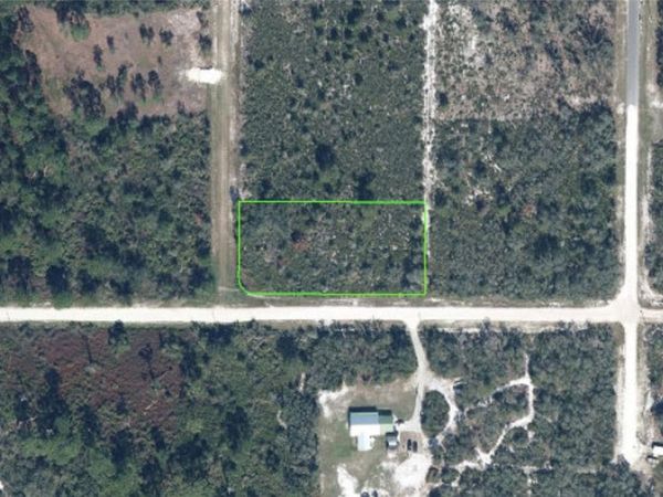 2255 S PAGE ROAD, AVON PARK, FL 33825