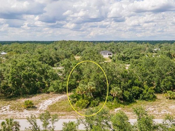 19172 RIDGE AVENUE , PORT CHARLOTTE, FL 33954