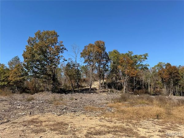 Tract 3A Sulphur Creek , Annapolis, MO 63628