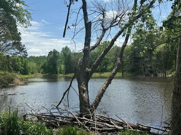 195 Old Springfield Dr , Quitman, AR 72131