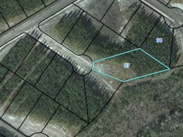 87 Eagles Crest, Waynesville, GA 31566