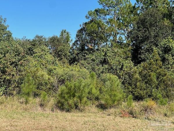 20979 Robinson Ln, Gulf Shores, AL 36542