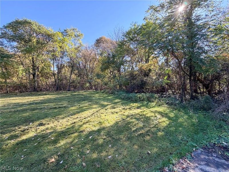 2225 Glenwood Avenue, Youngstown, OH 44511 Photo 27