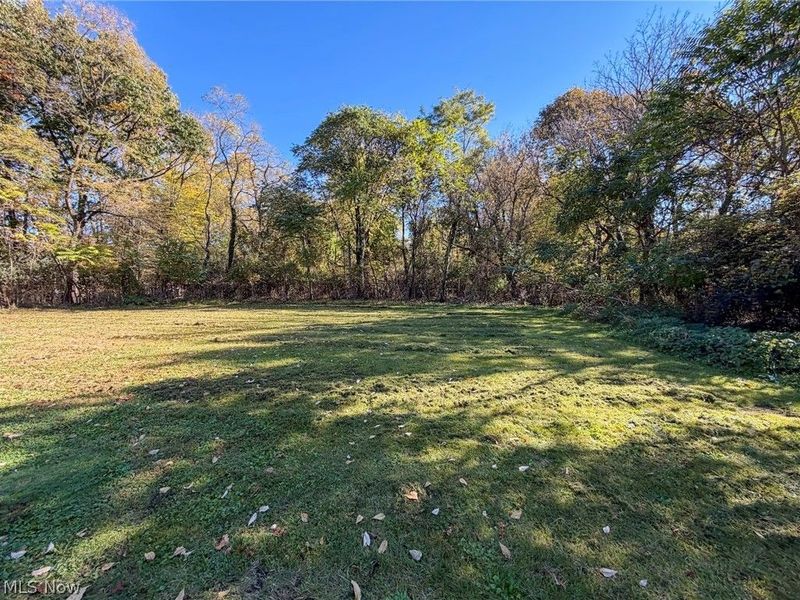 2225 Glenwood Avenue, Youngstown, OH 44511 Photo 28