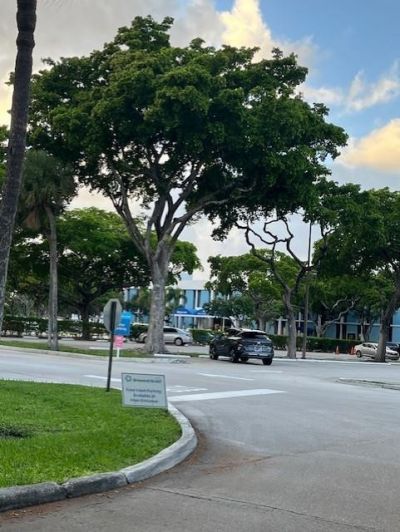 6200 NE 22nd Way, Unit 206, Fort Lauderdale, FL 33308 Photo