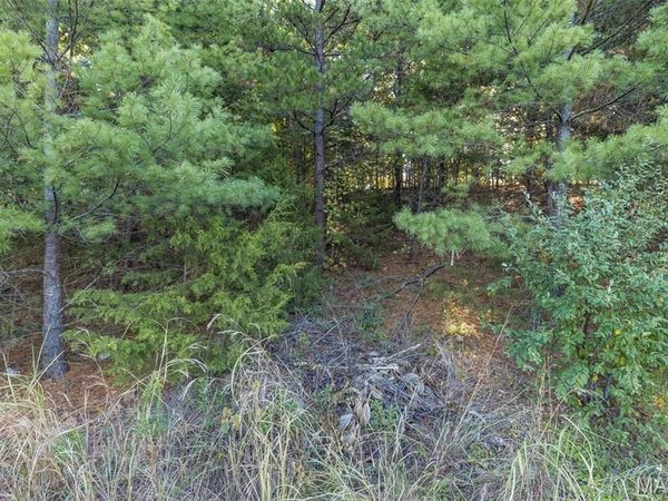 0 Rue Marseille , Bonne Terre, MO 63628