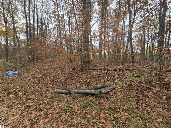 263 Lucerne Drive, Reed City, MI 49677