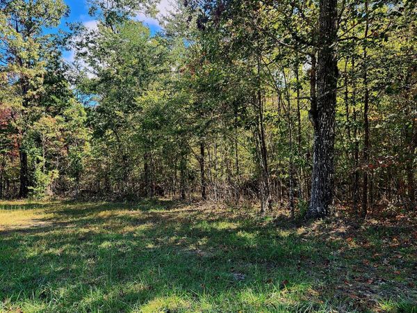 0 Long Branch Road, Spencer, TN 38585