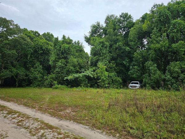0 SE 140TH LOT 19, TERRACE CT , OCKLAWAHA, FL 32179