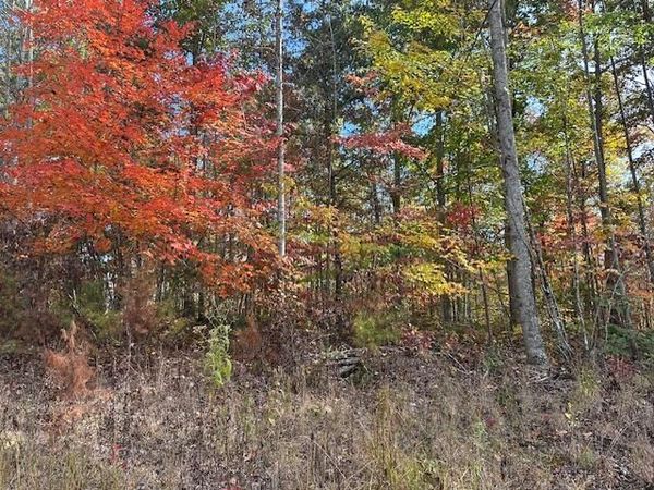 60358 Red Rock Lane, Crawford, TN 38554