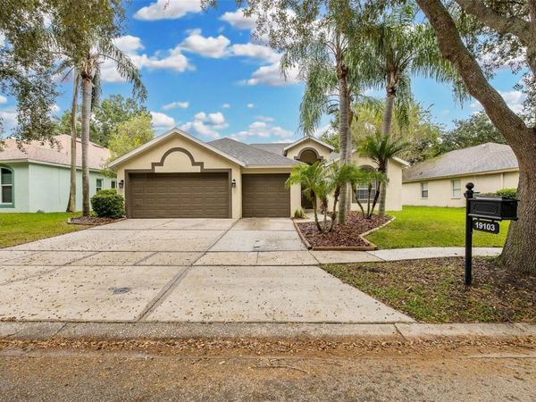 19103 DOVE CREEK DRIVE , TAMPA, FL 33647