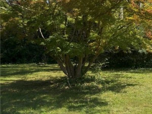 20367 Monrovia Road , Orange, VA 22960