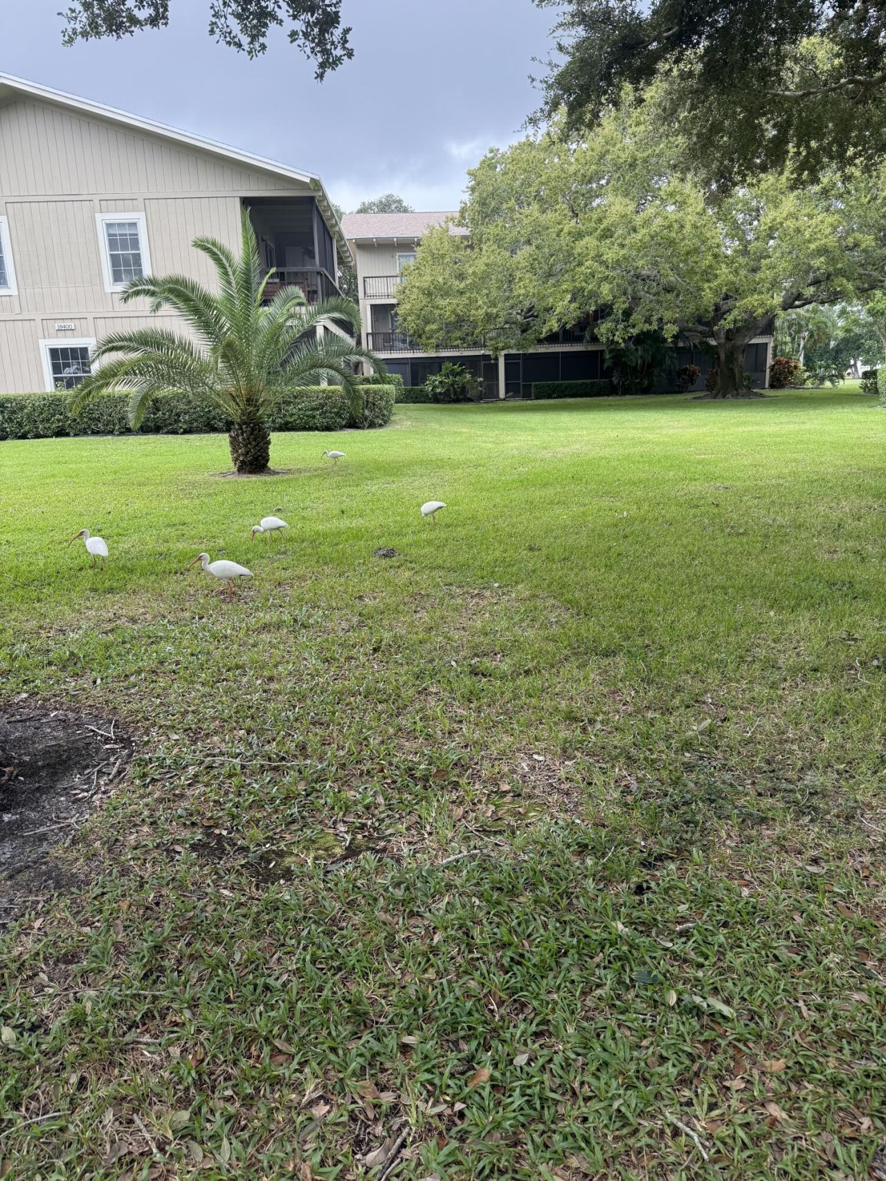 18400 SE Wood Haven Lane, Unit M, Jupiter, FL 33469 Photo