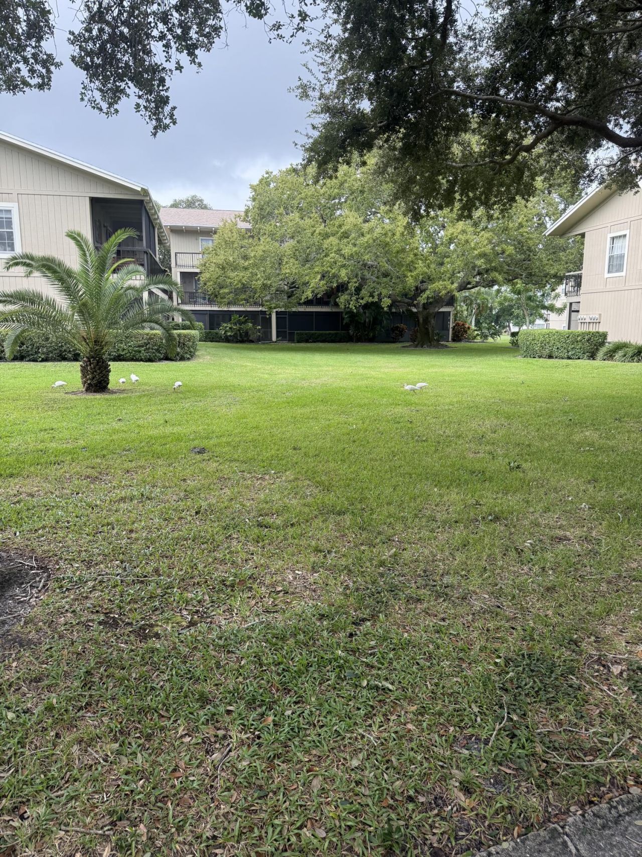 18400 SE Wood Haven Lane, Unit M, Jupiter, FL 33469 Photo