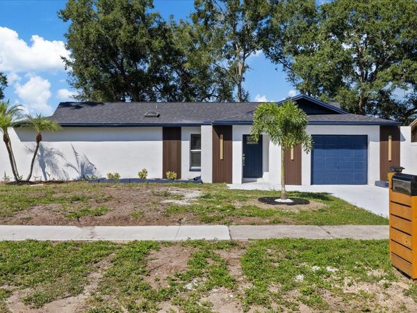 517 FALKIRK AVENUE , VALRICO, FL 33594