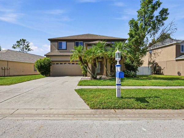 19264 FISHERMANS BEND DRIVE , LUTZ, FL 33558