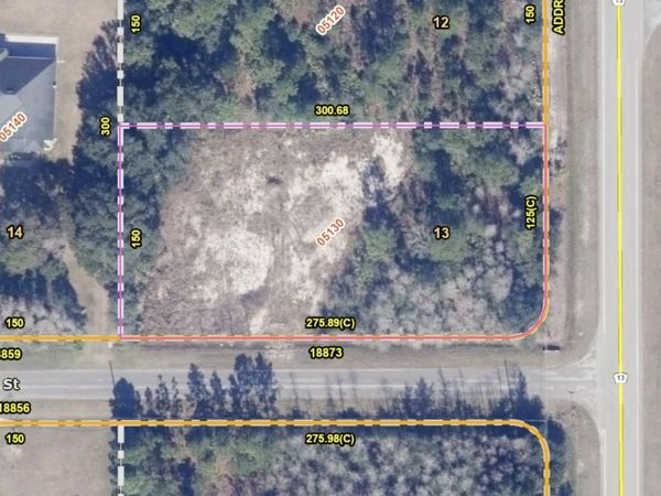 18873 NETHERLAND STREET , ORLANDO, FL 32833