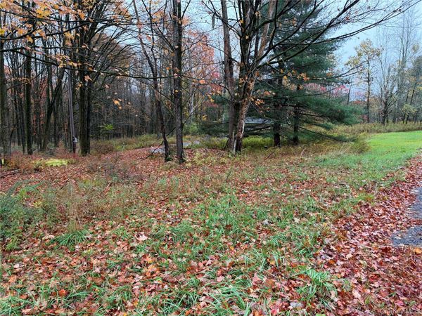 243 Lt. J.G. Brender Hwy , Liberty, NY 12734