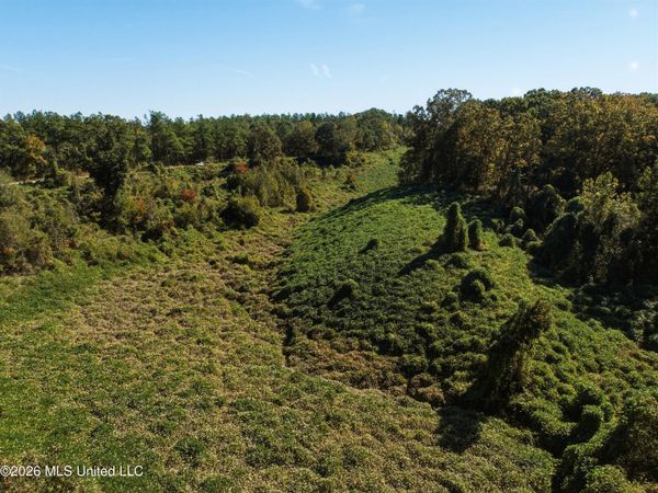 Stinson Road, Holly Springs, MS 38635