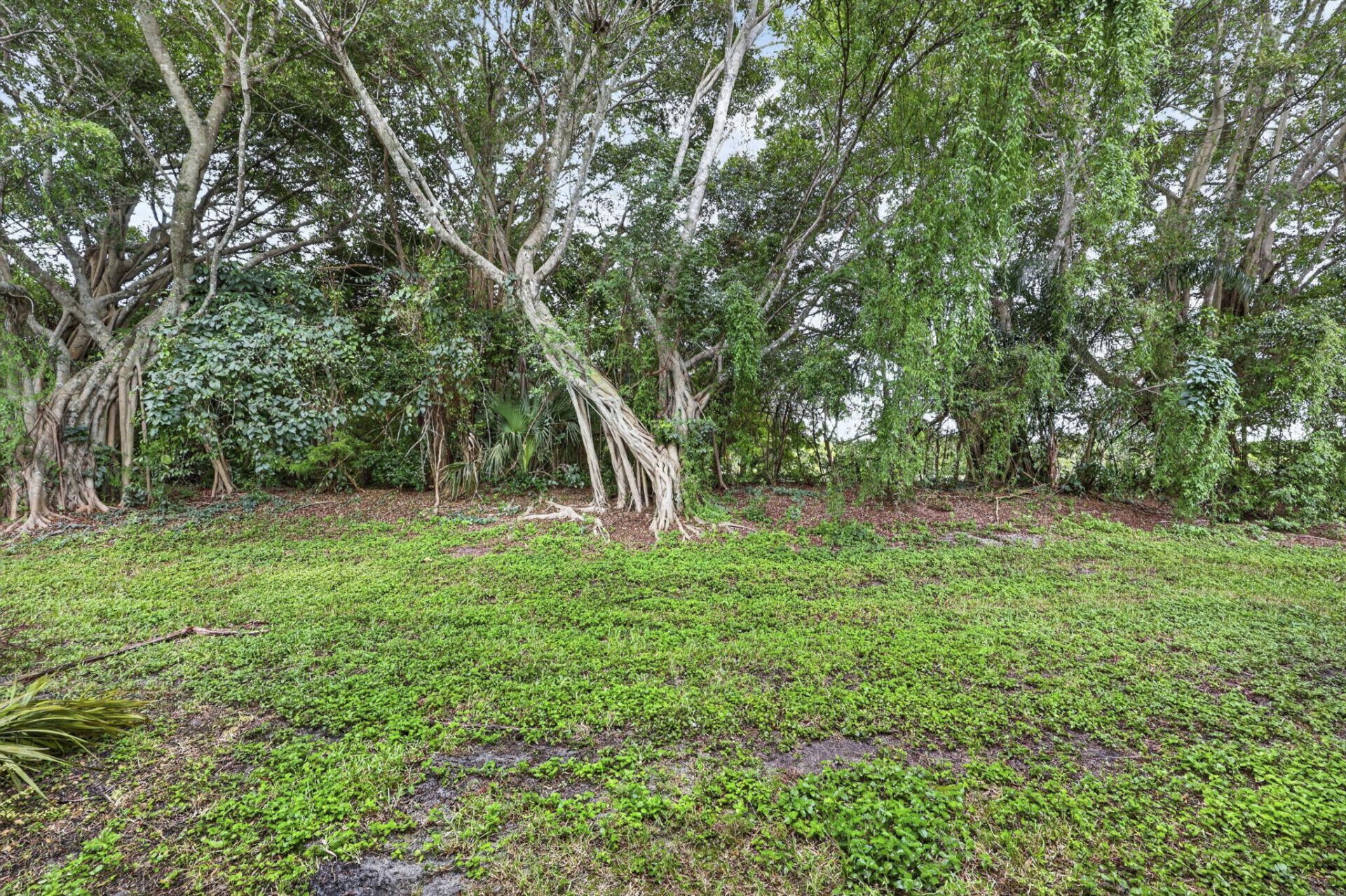 7886 Laina Lane, Unit Apt 1, Boynton Beach, FL 33437 Photo