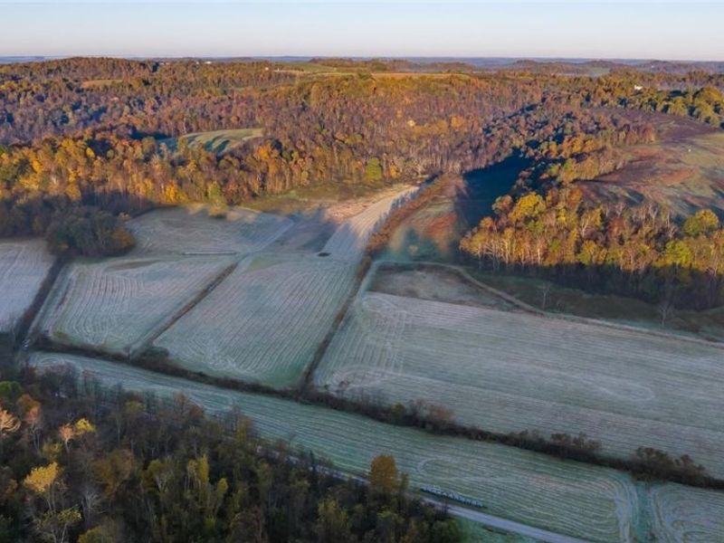 Waymor Road, Quaker City, OH 43773 Photo 6